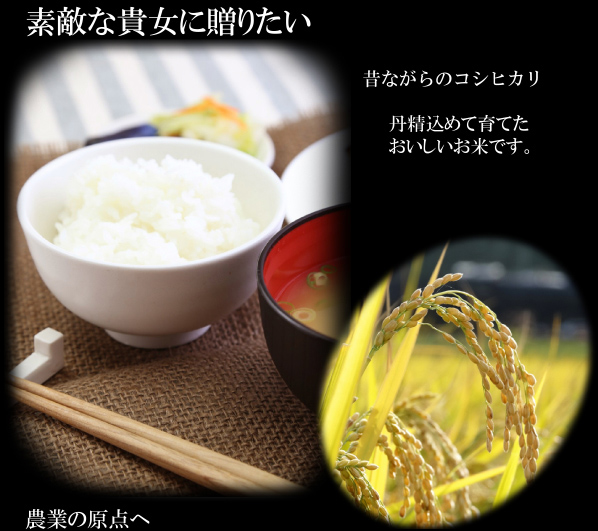 素敵な貴女に贈りたい。昔ながらの新潟コシヒカリ 丹精込めて育てた美味しいお米です。