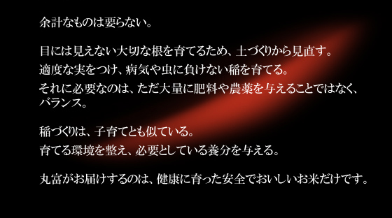 当店のお米
