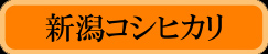 VRVqJ@̔